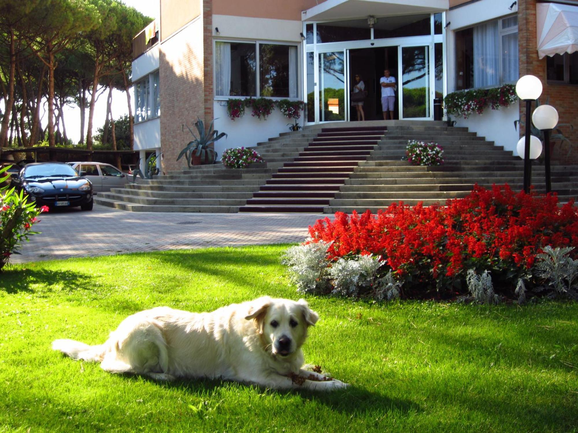 Hotel Beau Rivage Pineta Lido di Jesolo Kültér fotó